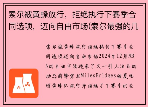 索尔被黄蜂放行，拒绝执行下赛季合同选项，迈向自由市场(索尔最强的几个状态)